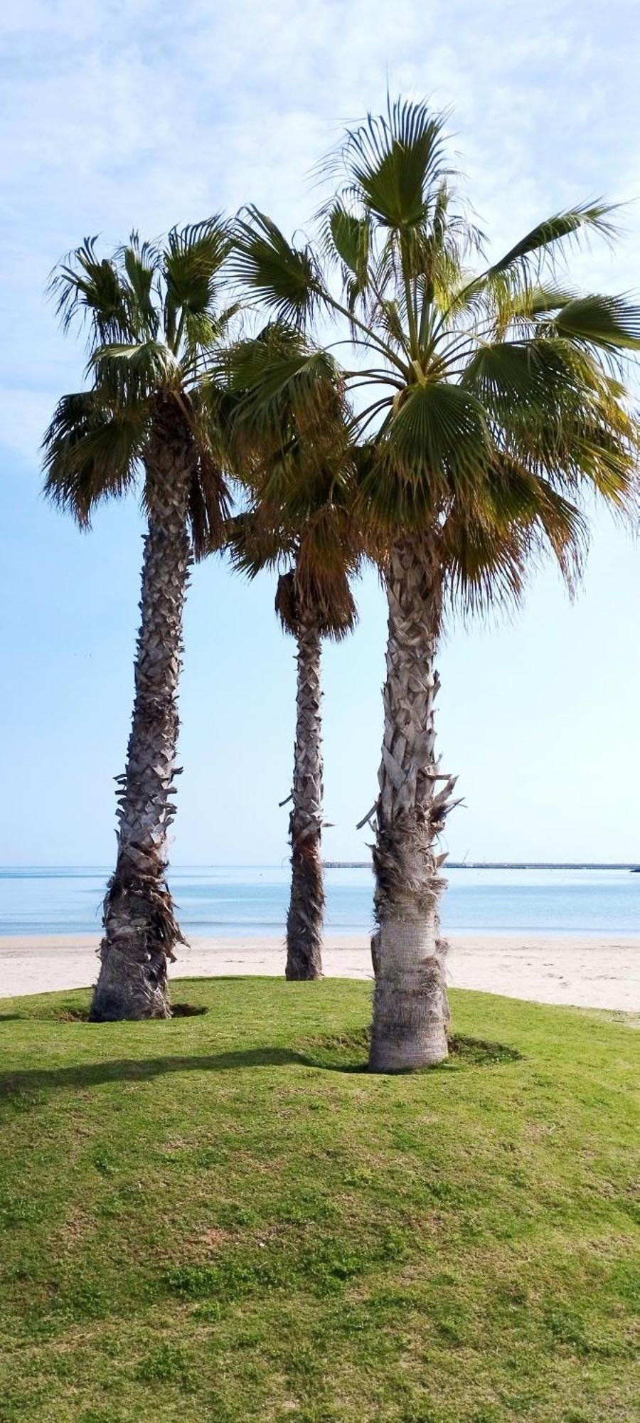 Beach House Marea Coral Melilla Extérieur photo